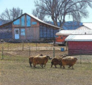 Restored Farm