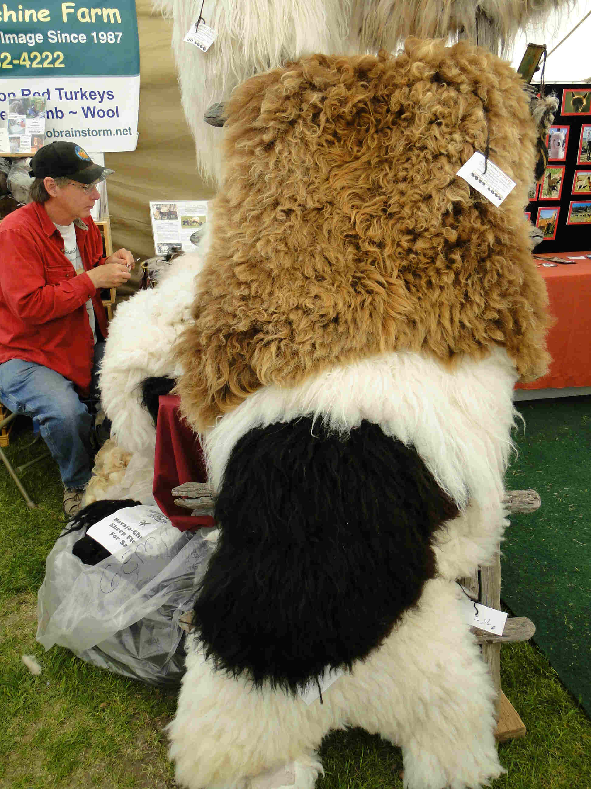 Sheep Pelts