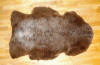 Navajo Churro Pelt