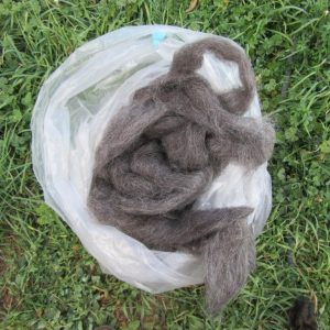 Roving from a ewe named Tina Turner
