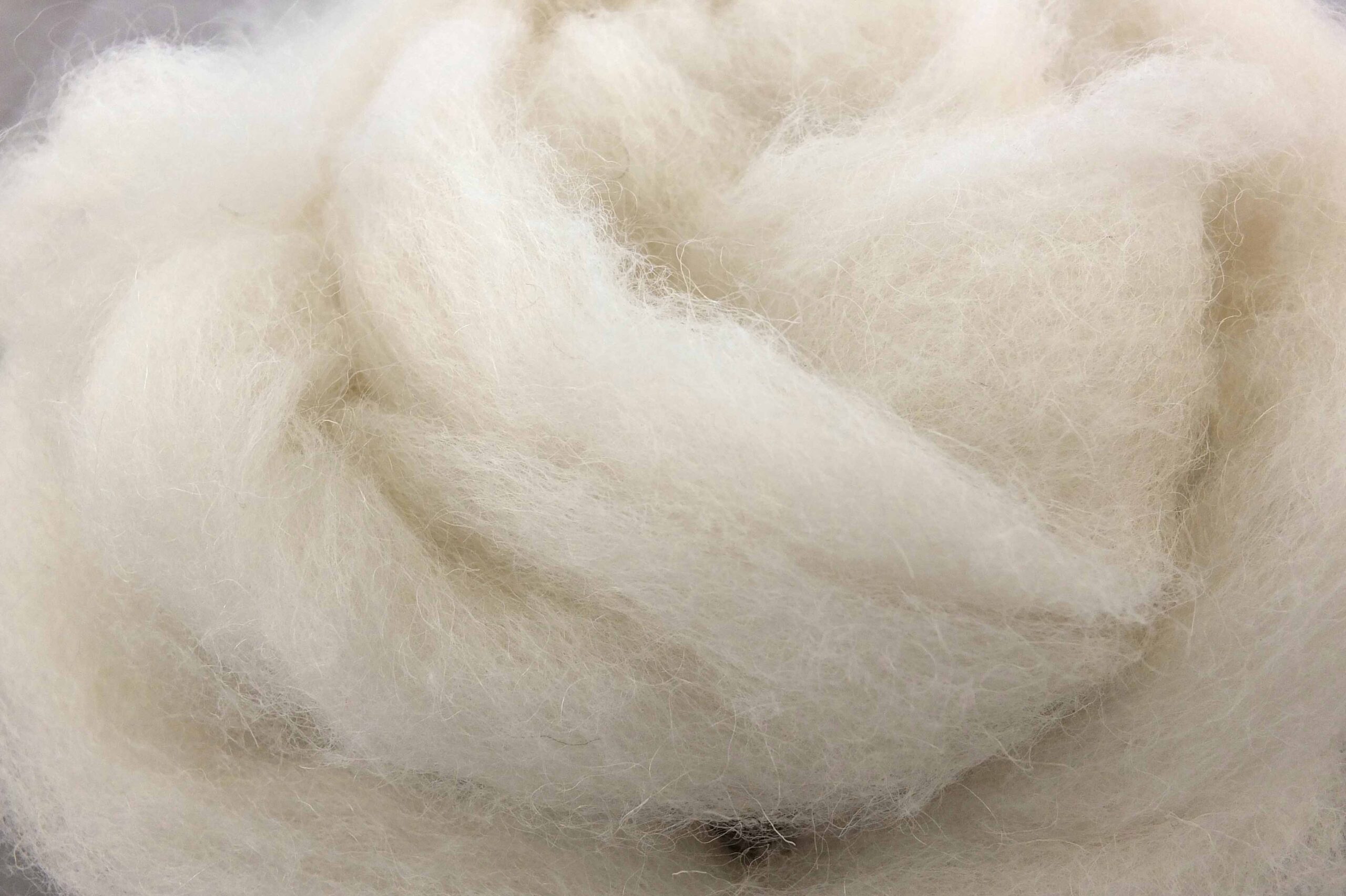 Navajo-Churro Wool Roving White